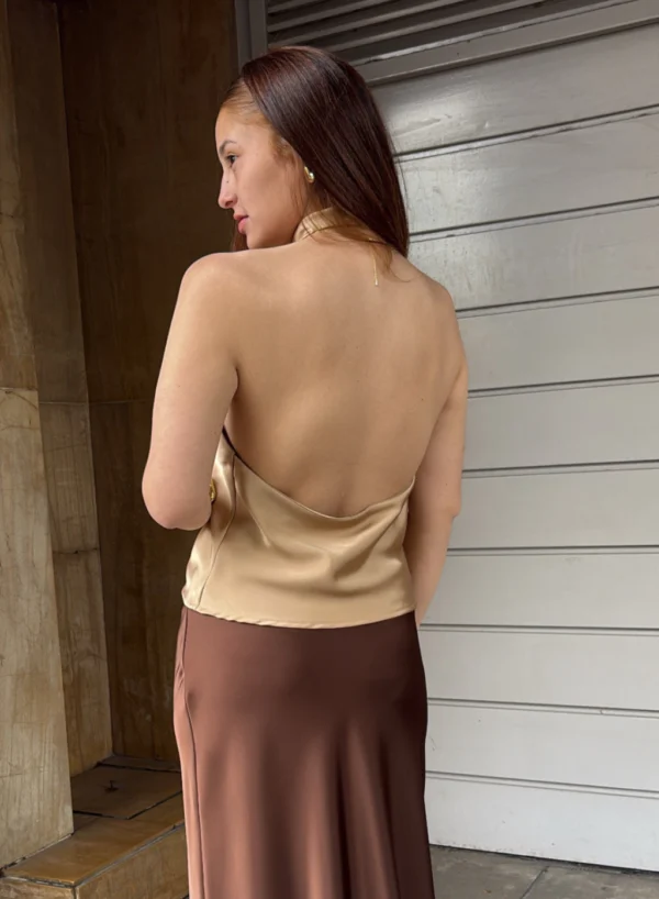 462-8e42c5a018bb0a885d17611581261315-1024-1024 BLUSA HALTER