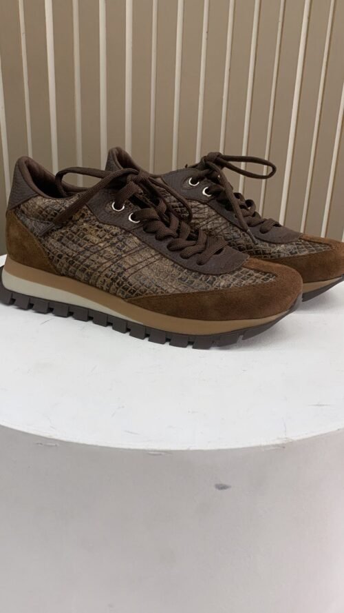 WhatsApp Image 2026-02-21 at 10.22.06 AM (1) ZAPATILLAS CELINE